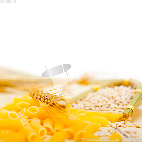 Image of Italian pasta penne with wheat