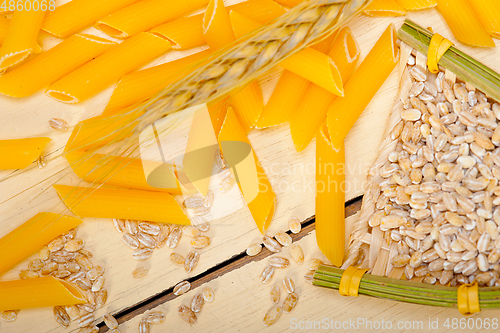 Image of Italian pasta penne with wheat