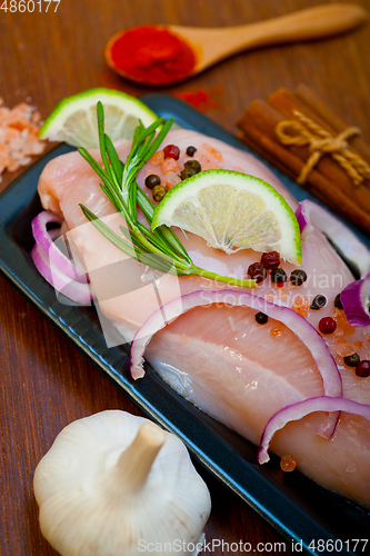 Image of fresh organic chicken breast with herbs and spices