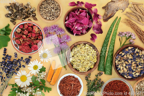 Image of Healing Herbs for Natural Herbal Medicine