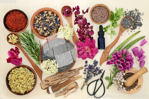 Image of Natural Herbal Plant Medicine Preparation