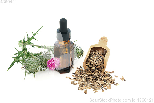 Image of Milkthistle Oil and Seeds Used in Herbal Medicine