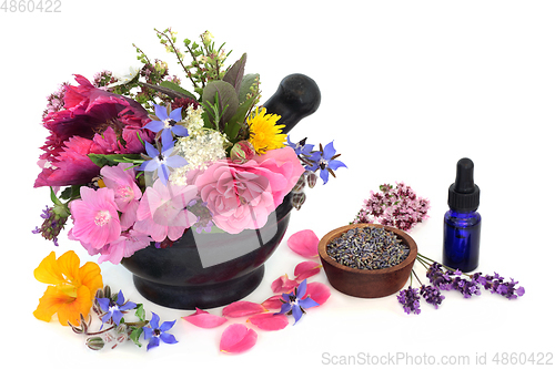 Image of Medicinal Flowers and Herbs for Aromatherapy Essential Oils