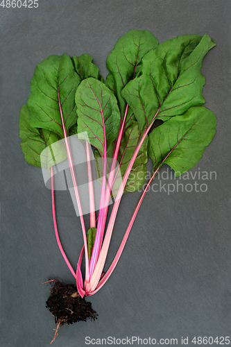 Image of Ruby Red Swiss Chard Organic Health Food