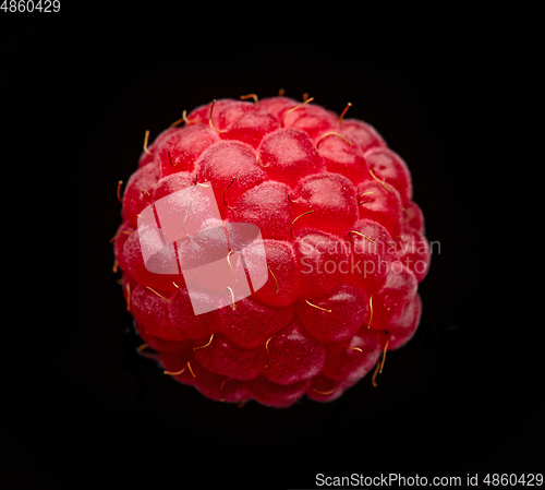 Image of fresh raspberry macro