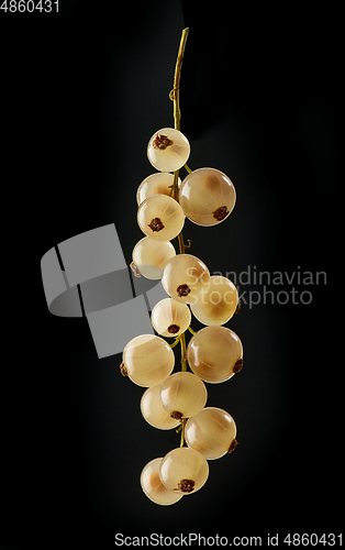 Image of fresh white currant berries