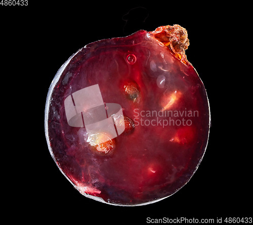 Image of half of blackcurrant berry