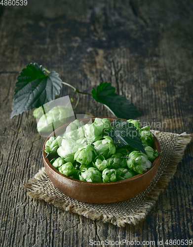 Image of bowl of fresh green hop plant cones