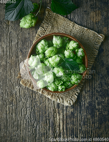 Image of bowl of fresh green hop plant cones