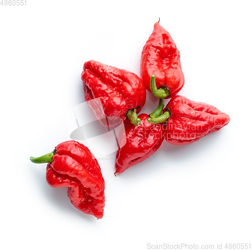 Image of hot red ghost peppers
