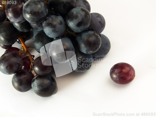 Image of Grapes