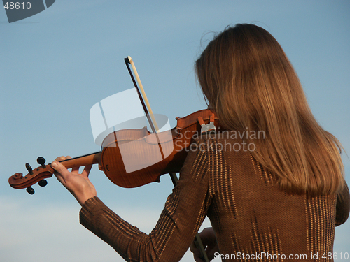 Image of violin