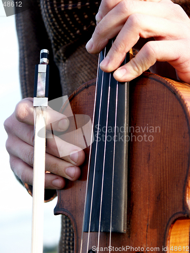 Image of violin