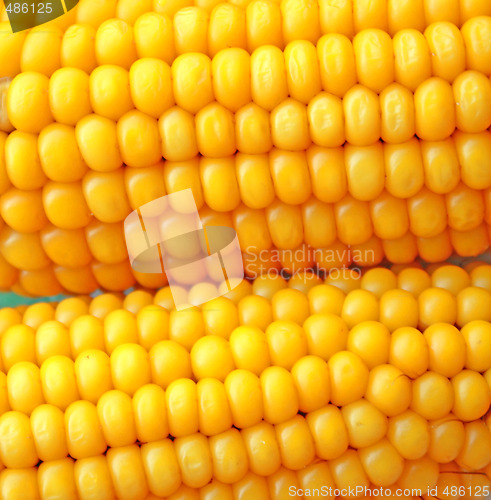 Image of Corn