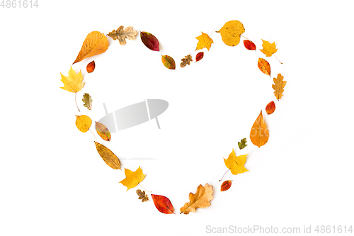 Image of dry fallen autumn leaves in shape of heart