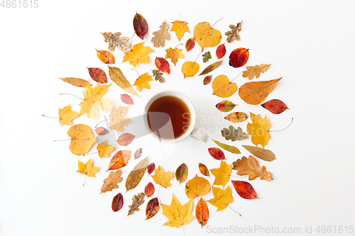 Image of cup of black tea and different dry autumn leaves