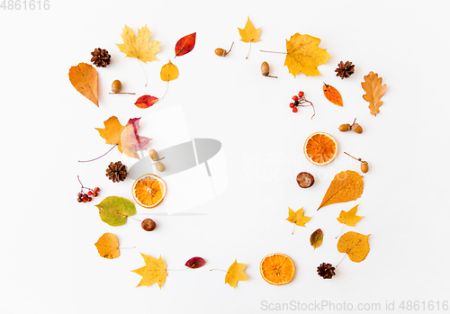 Image of autumn leaves and berries arranged in frame