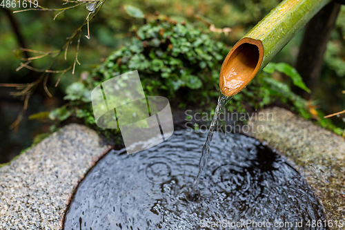 Image of Water bamboo in Japanese temple