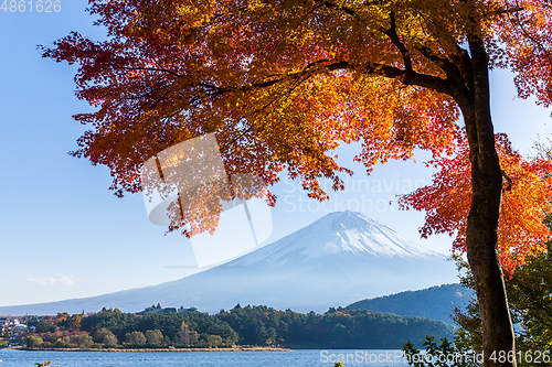Image of Maple tree and mount Fuji