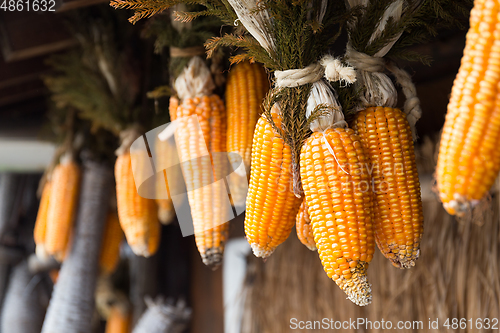 Image of Dried corn