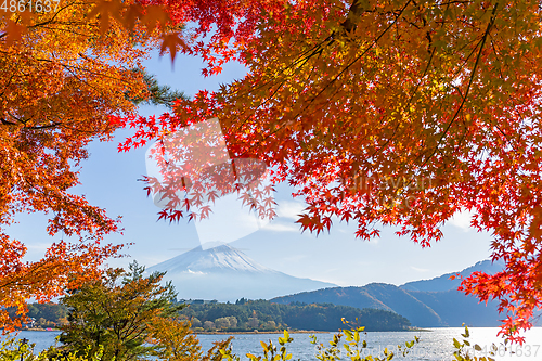 Image of Mt.Fuji in Autumn