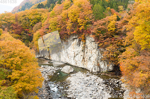 Image of Autumn forest and river in Japan