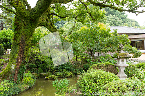 Image of Japanese garden