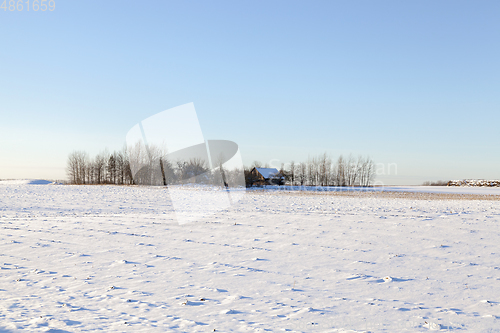 Image of frost and snow