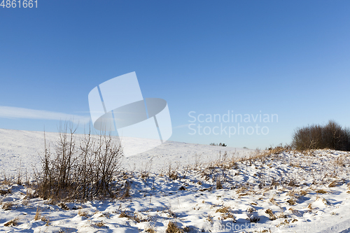 Image of Winter field