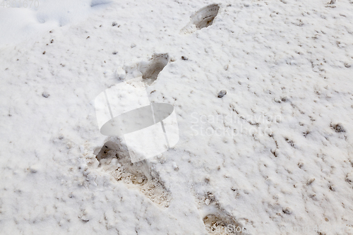 Image of Footprint on snow