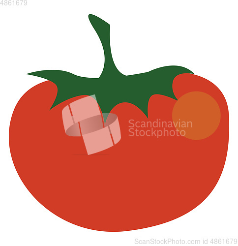 Image of A red colored fruit vector or color illustration