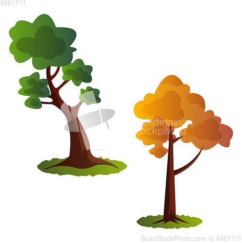 Image of Two autumn tree vector illustration on white background