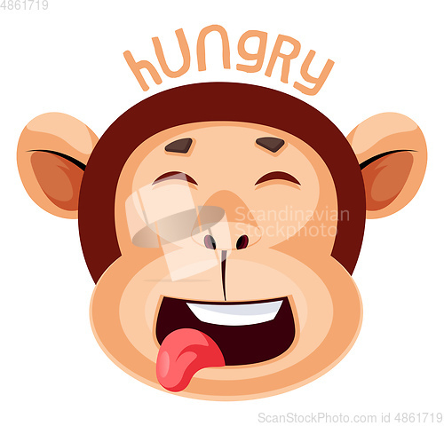 Image of Monkey is feeling hungry, illustration, vector on white backgrou