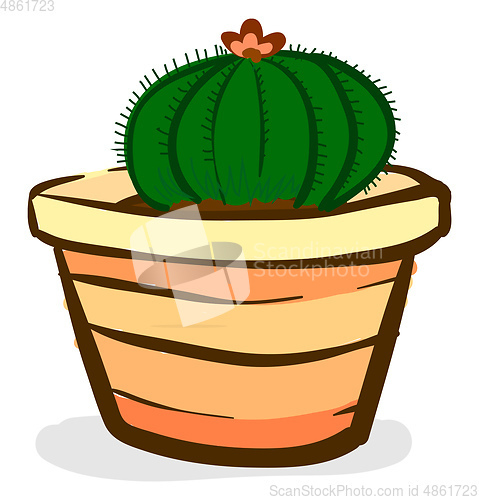 Image of Round cactus plant with flower for room decoration provides extr