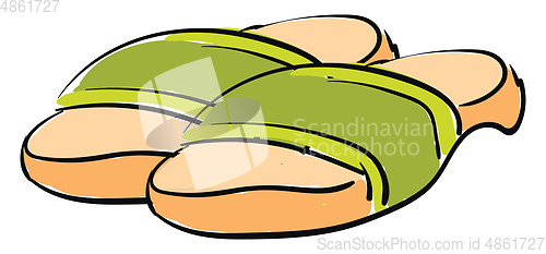 Image of Slippers illustration vector on white background 