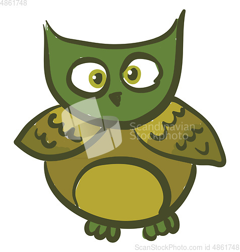 Image of A green owl vector or color illustration