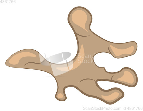 Image of A piece of spicy ginger vector or color illustration
