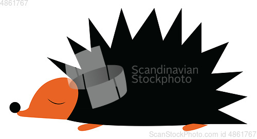 Image of A hedgehog vector or color illustration