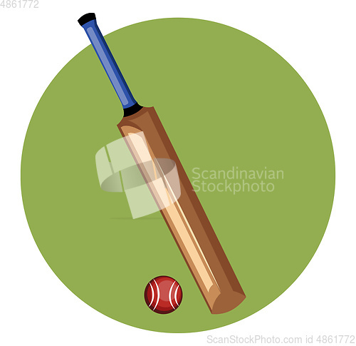 Image of Cricket Bat vector color illustration.