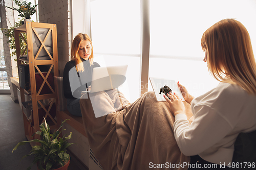 Image of Young friends, women using gadgets to watch cinema, photos, online courses, taking selfie or vlog