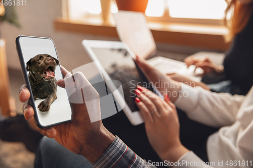 Image of Young friends using gadgets to watch cinema, photos, online courses, taking selfie or vlog