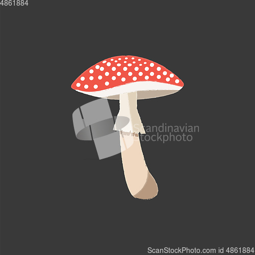 Image of A cute little red-colored mushroom vector or color illustration