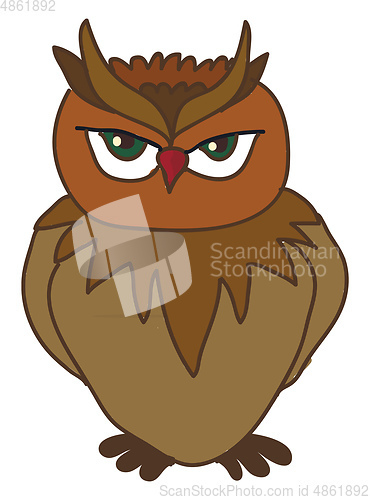 Image of An angry looking owl vector or color illustration