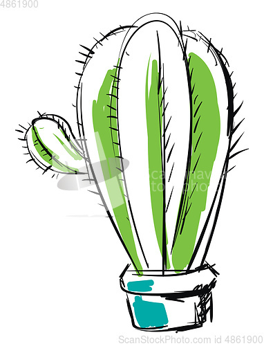 Image of Cactus sketch vector or color illustration