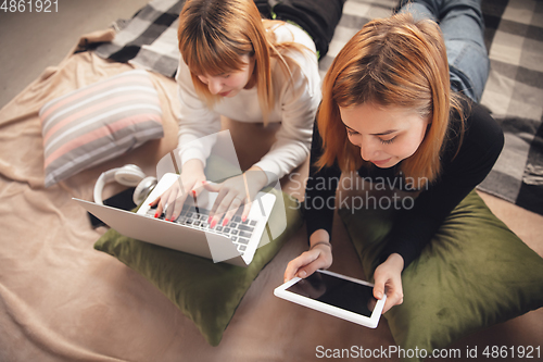 Image of Young friends, women using gadgets to watch cinema, photos, online courses, taking selfie or vlog, top view