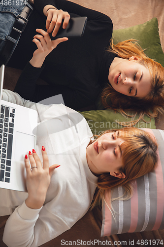 Image of Young friends, women using gadgets to watch cinema, photos, online courses, taking selfie or vlog, top view