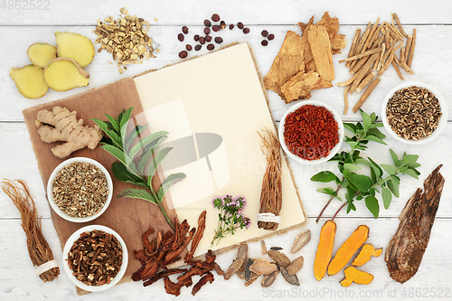 Image of Herbal Medicine for Immune System Protection