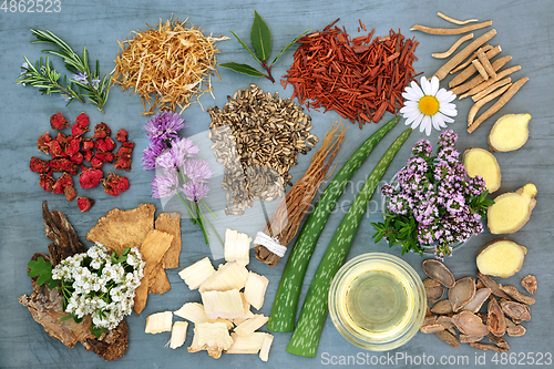 Image of Herbal Medicine for Natural Healing Remedies