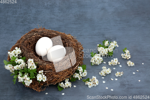 Image of Rustic Birds Nest with White Eggs and Blossom