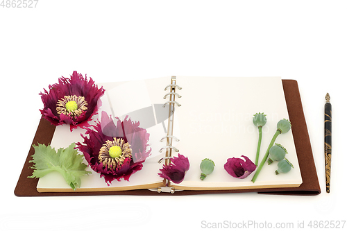 Image of Apothecary Notebook with Poppy Flowers and Seeds